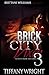 Brick City Vixen 3