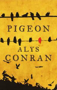 Pigeon (Paperback)