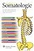 Somatologie
