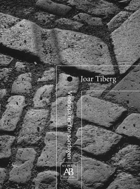 Vindutsikter för söndagen