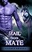 Mail Order Mate by Lauren Brooks