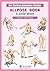 [Allpose Book] C_Lover pose...