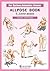 [Allpose Book] C_Lover poses (for comic,cartoon,manga,anime,illustration human body pose drawing techniques.) (Allpose Book Drawing Pose Resource : 24 Books Series)