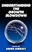 Understanding the Growth Slowdown