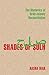 Shades of Sulh: The Rhetorics of Arab-Islamic Reconciliation (Composition, Literacy, and Culture, 163)