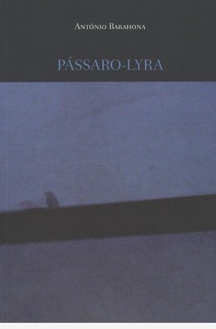 Pássaro-Lyra