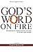 God's Word On Fire: Encountering the Manifest Presence of Christ in my daily Bible reading