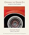 Opening The Good Eye by Michael Wood