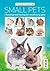 Small Pets: Choosing and caring for small furry pets (Practical Pets Series Book 6)