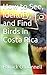How to See, Identify, and Find Birds in Costa Rica