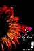 I Love My Love by Reyna Biddy I Love My Love by Reyna Biddy