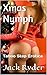 Xmas Nymph: Taboo Step Erotica