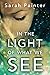 In the Light of What We See
