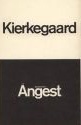 Begreppet ångest