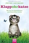 Klappohrkatze - W...