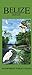 Belize Bird Guide (Laminated Foldout Pocket Field Guide)