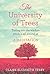 The University of Trees: Tuning into the wisdom which is all around us