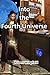 Into the Fourth Universe