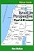 Israel In Perspective by Ron McRay