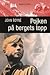 Pojken på bergets topp