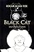 Black Cat and Other Stories by Edgar Allan Poe