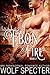 Ebon Fire (Wildfire #2)