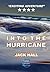 Into The Hurricane (Butch Carson Adventures, #1)