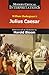 Viva Education Interpretations: Julius Caesar