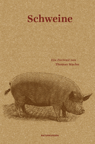 Schweine: Ein Portrait (Hardcover)