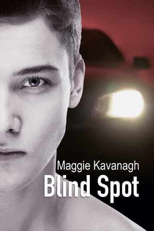 Blind Spot (The Stonebridge Mysteries, #3)