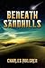 Beneath the Sandhills