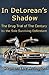 In DeLorean's Shadow by Stephen arrington