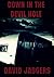 Down In The Devil Hole by David Jaggers