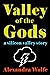 Valley of the Gods: A Silic...