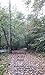 Walking in the Rain: A Shor...