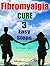 Fibromyalgia Cure in 3 Easy Steps by Mark Willow