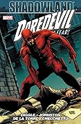 Shadowland: Daredevil