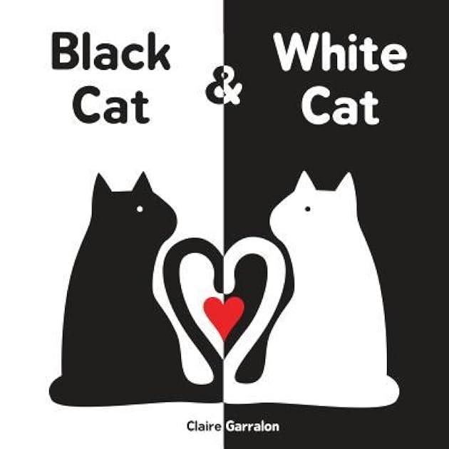 Black Cat & White Cat: A High Contrast Sensory Board Book About Opposites For Newborns and Babies