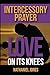 Intercessory Prayer: Love O...