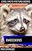 Raccoons: A Cool Facts Picture Book About Raccoons