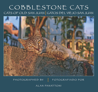 Cobblestone Cats: Cats of Old San Juan | Gatos del Viejo San Juan