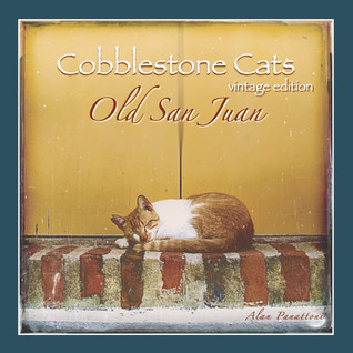 Cobblestone Cats: Old San Juan