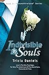 Indivisible Souls (Bound4Ireland, #3)