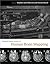Foundational Issues in Human Brain Mapping (A Bradford Book)