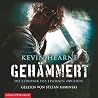 Gehämmert by Kevin Hearne