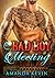 ROMANCE: The Bad Boy Meeting: Alpha Male Romance (New Adult Billionaire Fantasy Romance Short Stories)