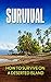 Survival: How to Survive on a Deserted Island: Survival Island Guide Handbook 101