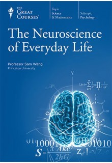 NOT A BOOK: The Neuroscience of Everyday Life (DVD)
