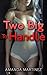Two Big To Handle