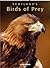 Scotland's Birds of Prey